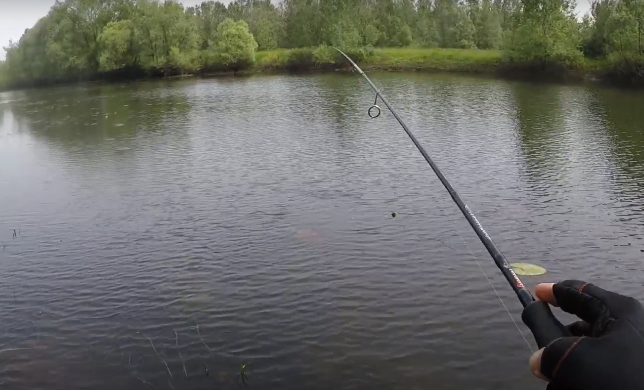 Закарпатець розповів про ловлю "найнебезпечнішого хижака" у водоймі поблизу одного із сіл (ВІДЕО)