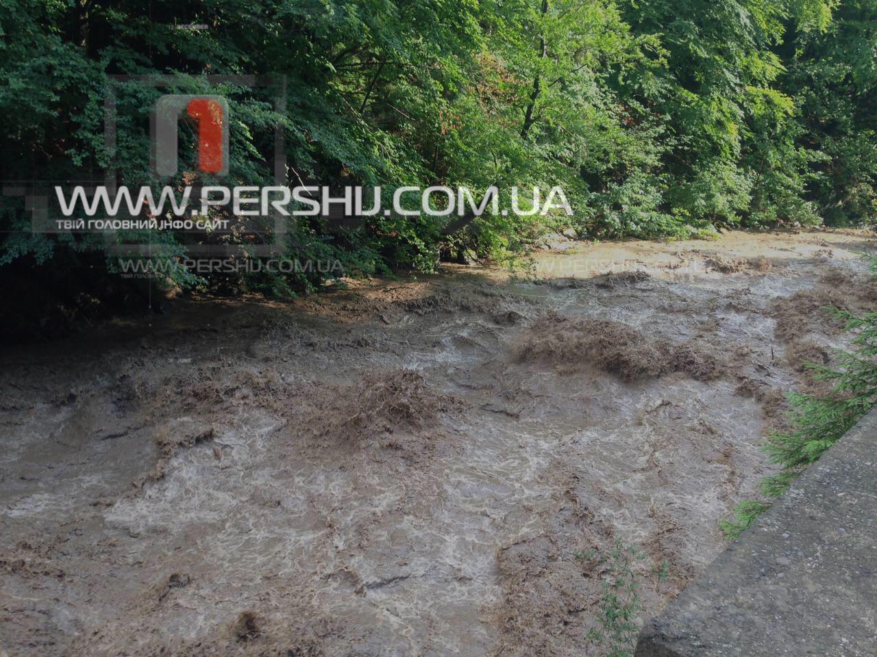 Міжгірщина потерпає від потужних злив: на Хустщині маленький потічок перетворився в руйнівну силу (ФОТО, ВІДЕО)