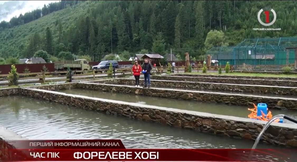 Хобі, яке переросло у справу життя: закарпатець розповів про особливості вирощування риби (ВІДЕО)