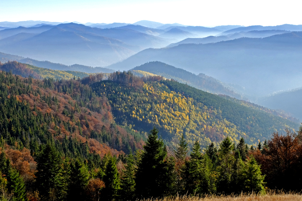 Передано лікарям: на Закарпатті у горах травмувався юний киянин