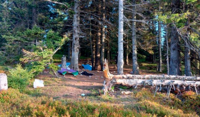 Рука, яку зібрали, рухається: одна з постраждалих після вибуху на Рахівщині прийшла до тями (ВІДЕО)