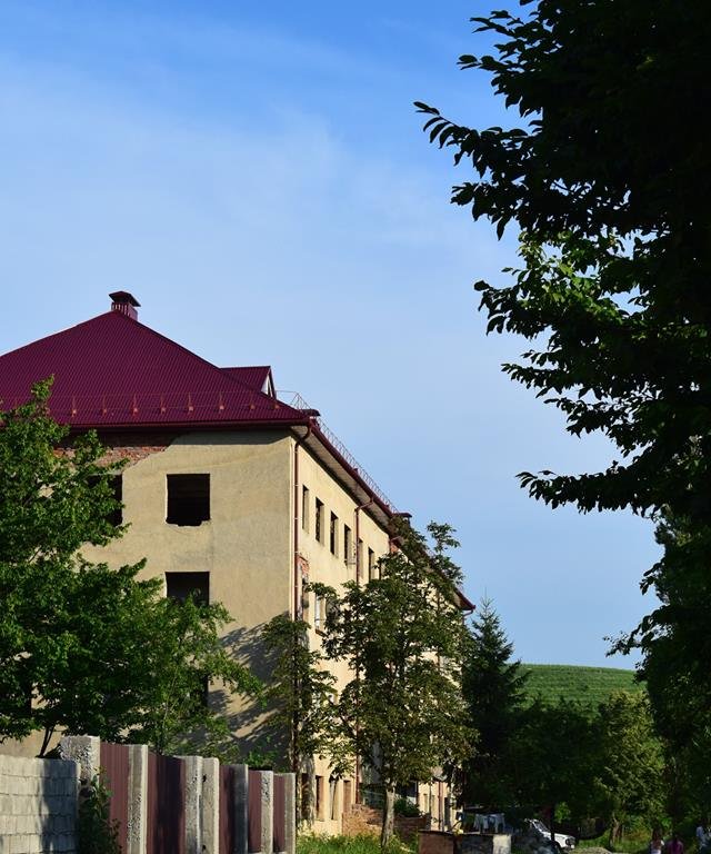 Влада Берегова продовжує упорядковувати місто