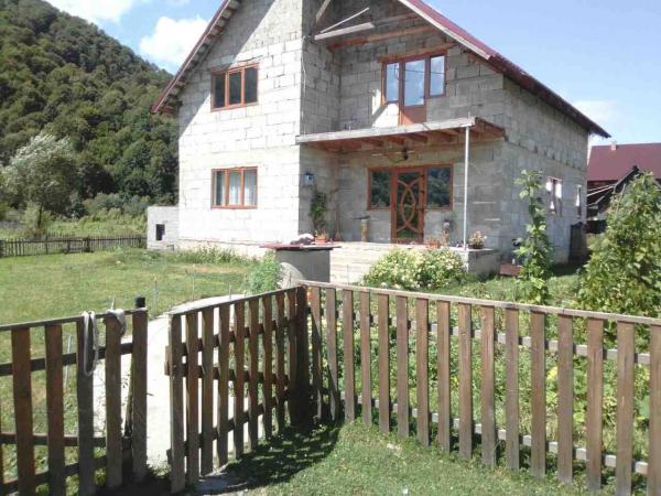 Міжгірські поліцейські повернули місцевій викрадені гроші та золото