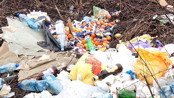 Людська діяльність перетворює Закарпаття в один великий смітник (ФОТО)