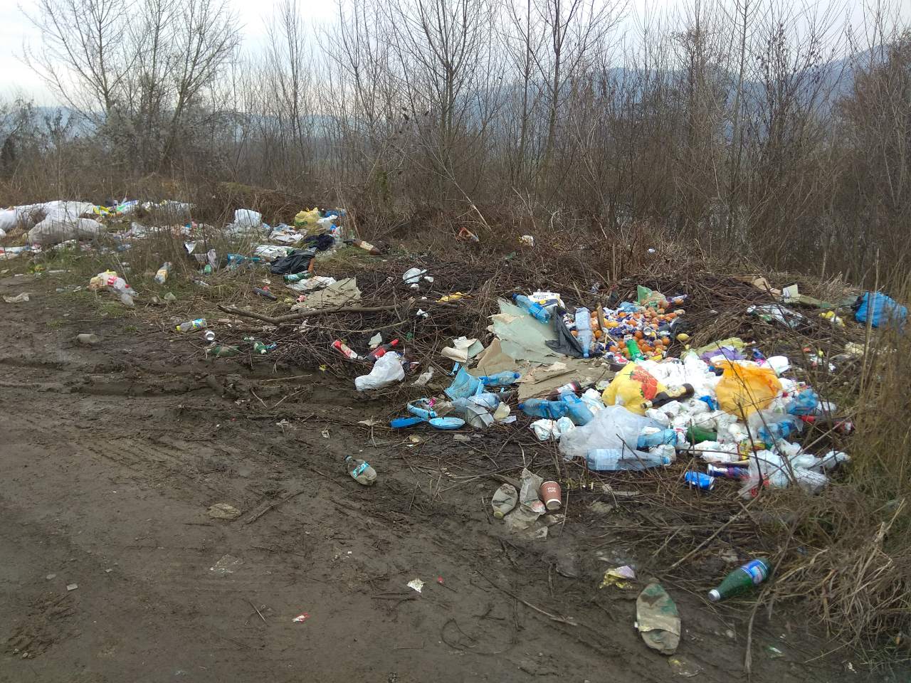 Тячівщина потопає у смітті (фотофакт)