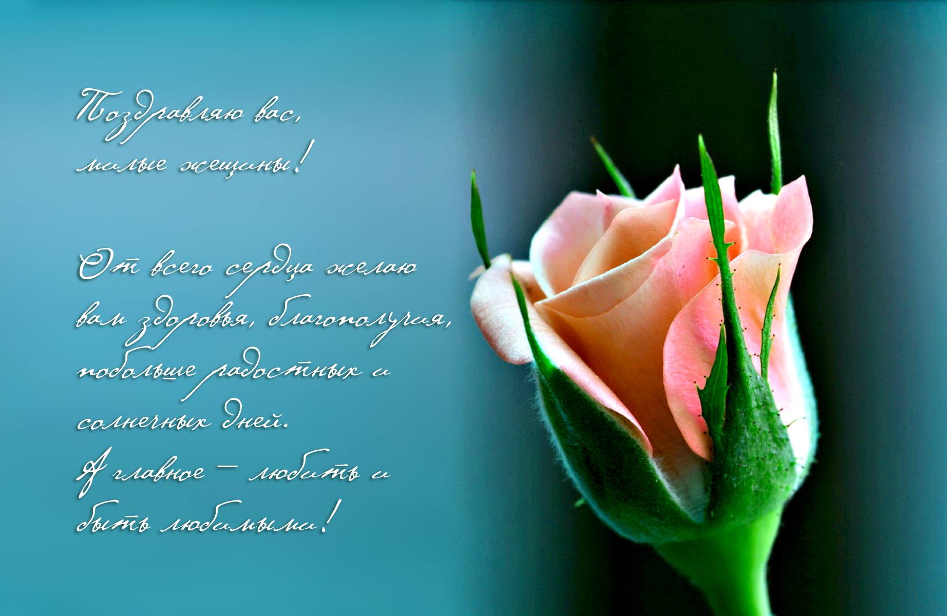 Віктор Медведчук вітає всіх жінок зі святом весни