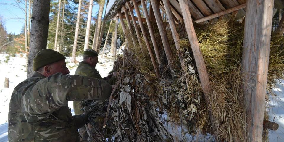 Єгерською групою ДП «Ясінянське ЛМГ» організовано підгодовування диких тварин (фото)