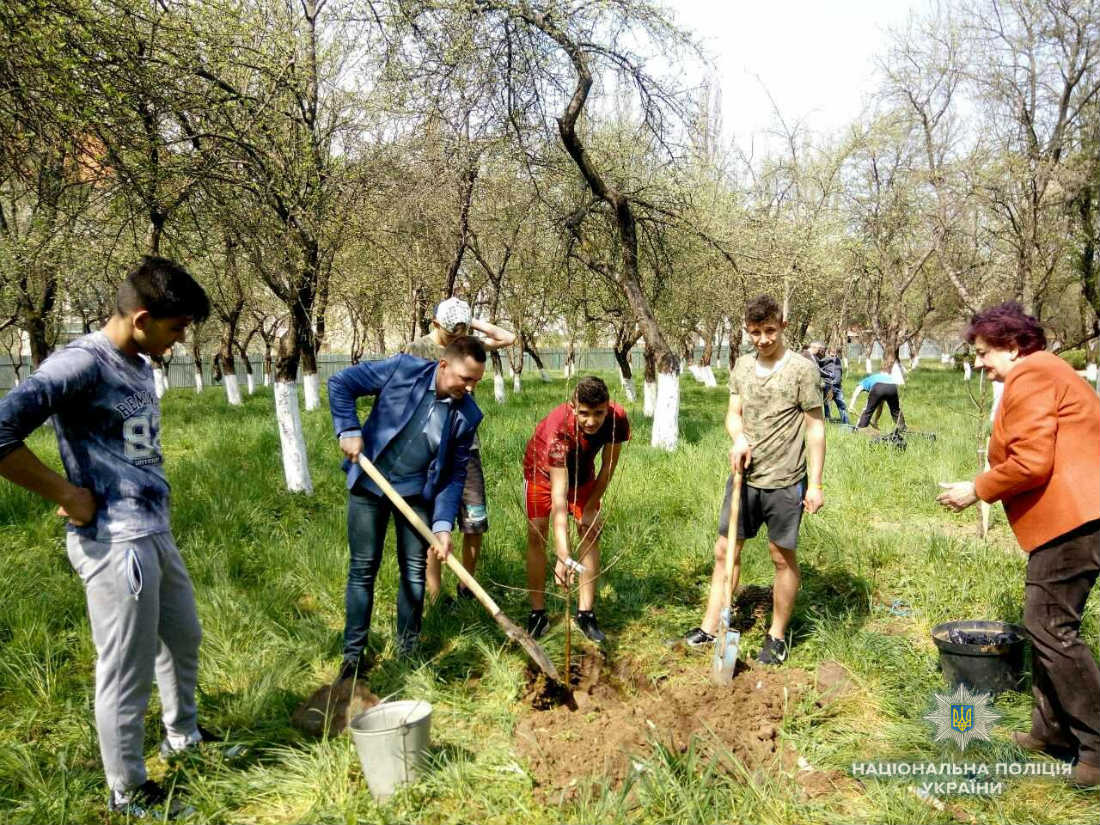 Ужгородська поліція висадила дерева в підшефному навчальному закладі