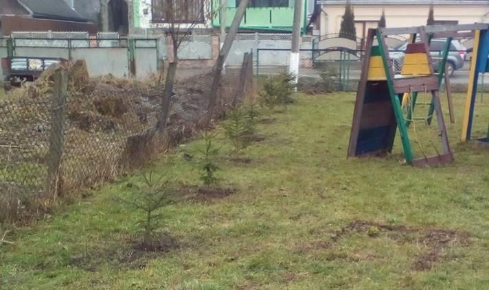 Лісівники Брустурянського лісгоспу озеленили територію двох дитсадків (ФОТО)