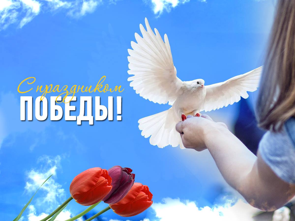 Віктор Медведчук вітає з Днем Перемоги!