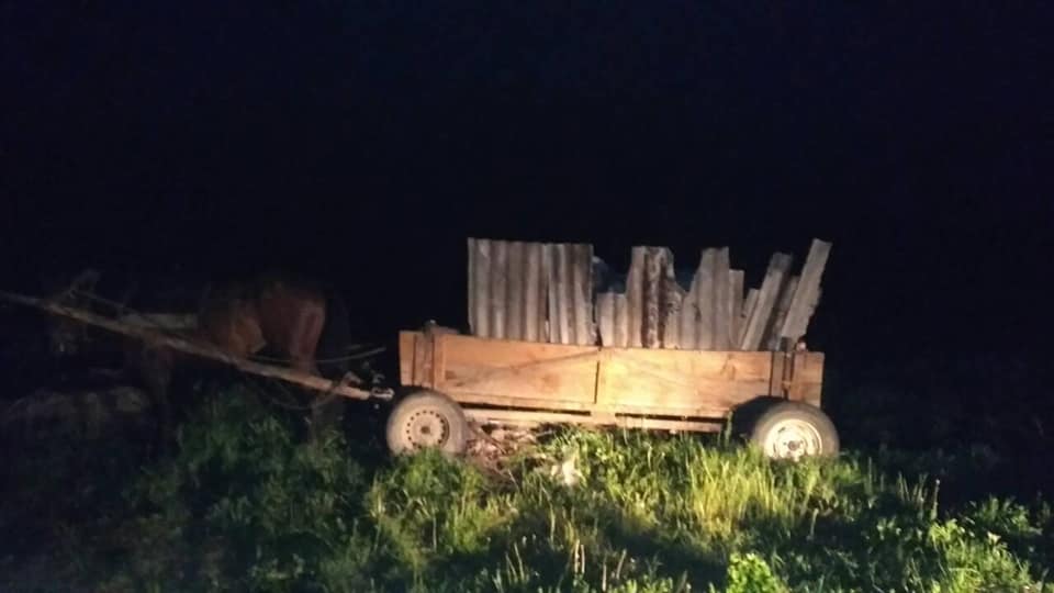 На Тячівщині зловили людей, які вночі вивозили сміття в заборонені місця (ВІДЕО, ФОТО)