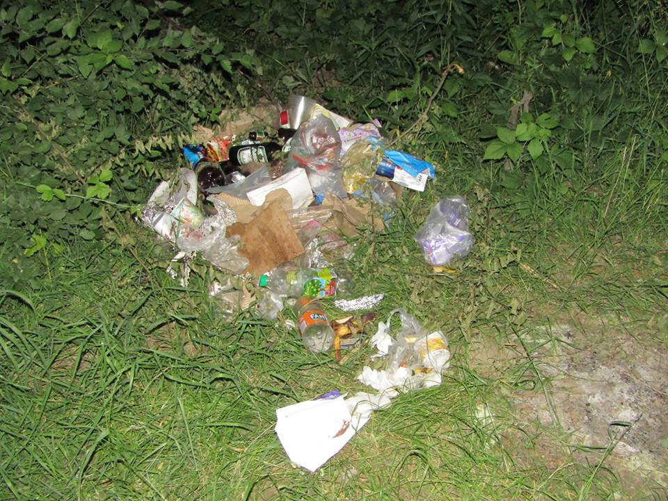 Повалені дерева та стихійне сміттєзвалище на березі річки Тиса на Закарпатті (ФОТО)