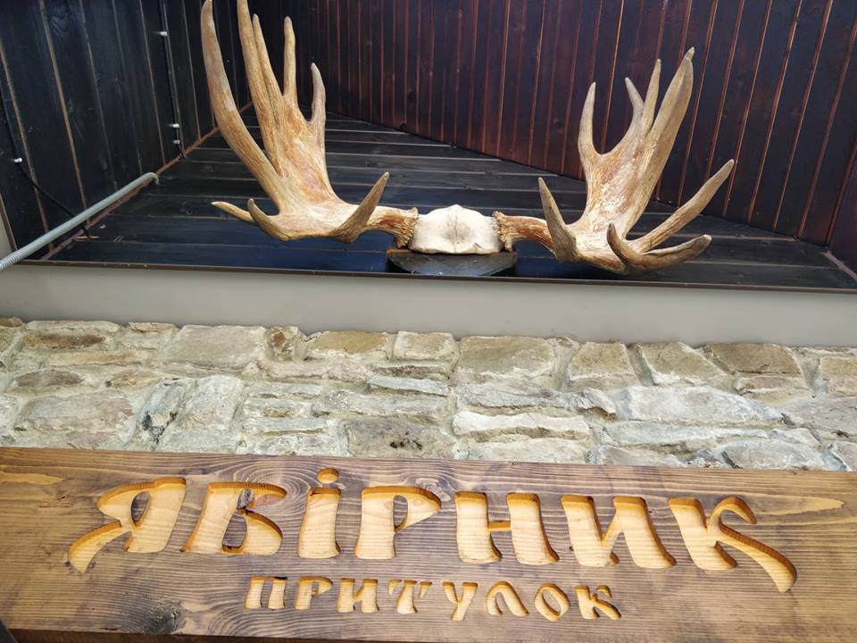 Притулок "Явірник" запрацював у тестовому режимі / ФОТО