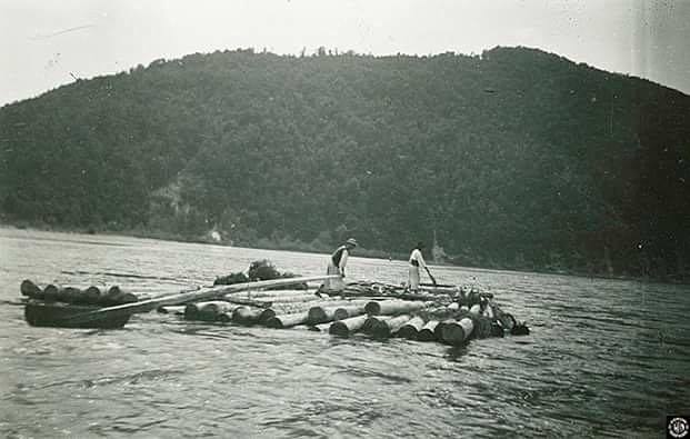 Останній офіційно зафіксований сплав "дараби" по Тисі на Хустщині (ФОТО)