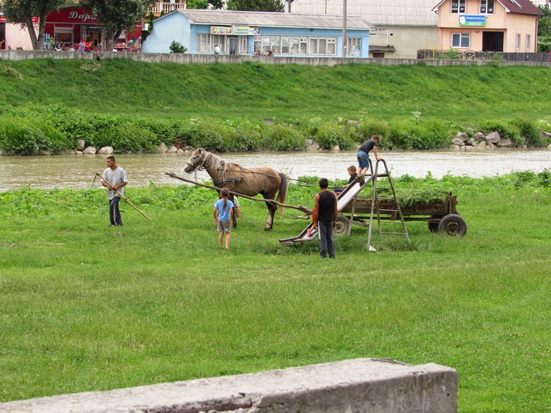 У Мукачеві роми з конями роблять для міста важливу справу (ФОТО)