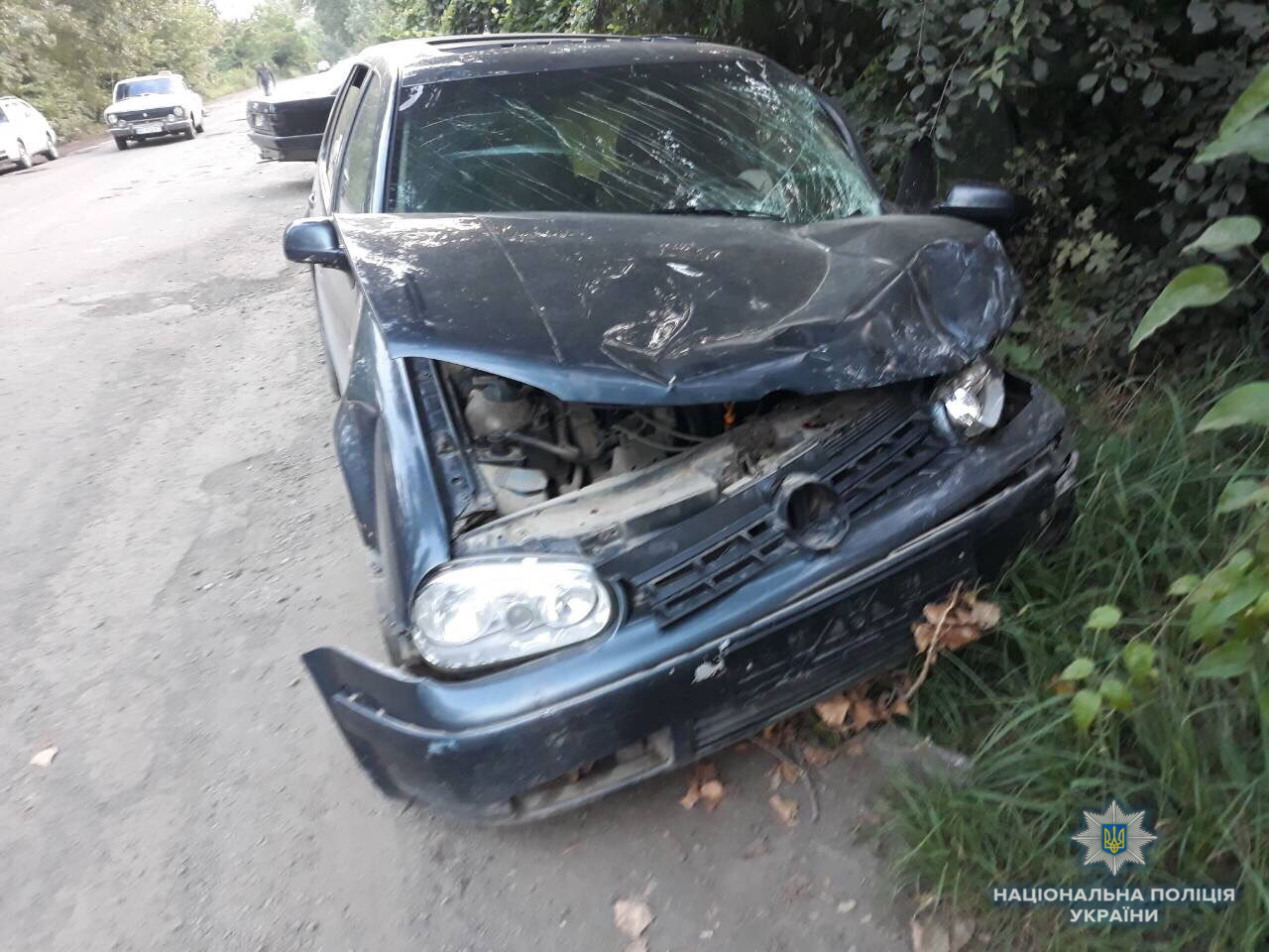 На Виноградівщині з вини п’яного водія постраждали шестеро людей (ФОТО)