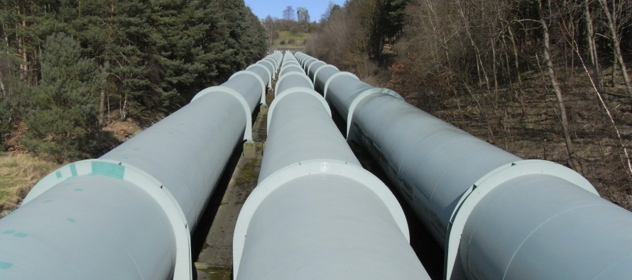 Державна екологічна інспекція у Закарпатській області повідомляє про наслідки витоку нафтопродукта