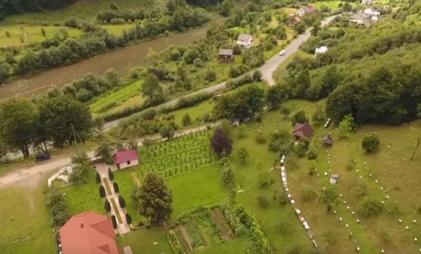У мережі показали пам’ятник закарпатській бджолі та розповіли, де найкращий мед в Україні (ВІДЕО)
