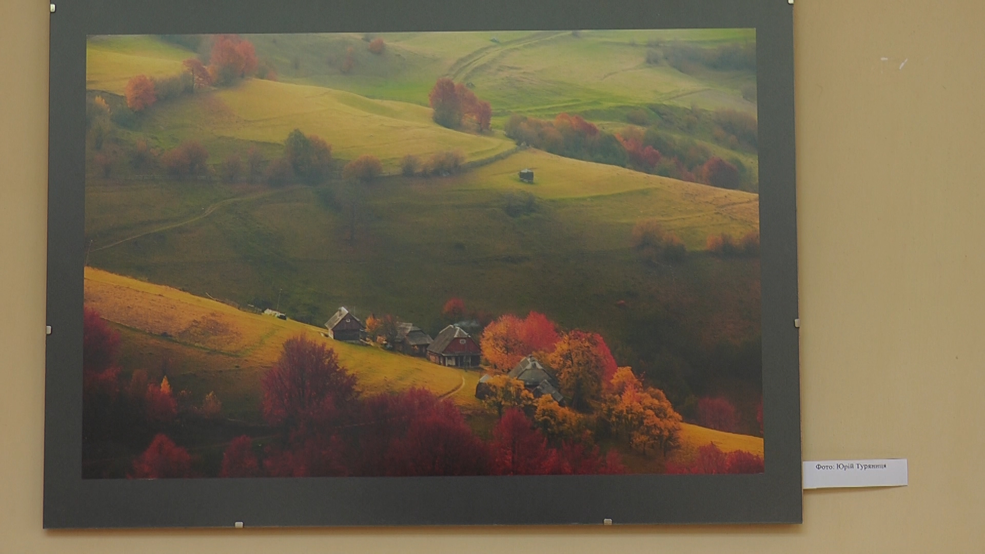 Спілка фотохудожників Закарпаття вперше провела виставку "Зачаровані кольором" (ВІДЕО)