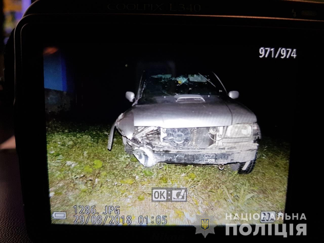 ДТП у Квасах: водій не впорався з керуванням та з’їхав у кювет (ФОТО)