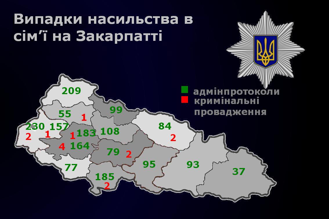 З початку року на Закарпатті зафіксувано близько 2000 випадків насильства в сім’ї