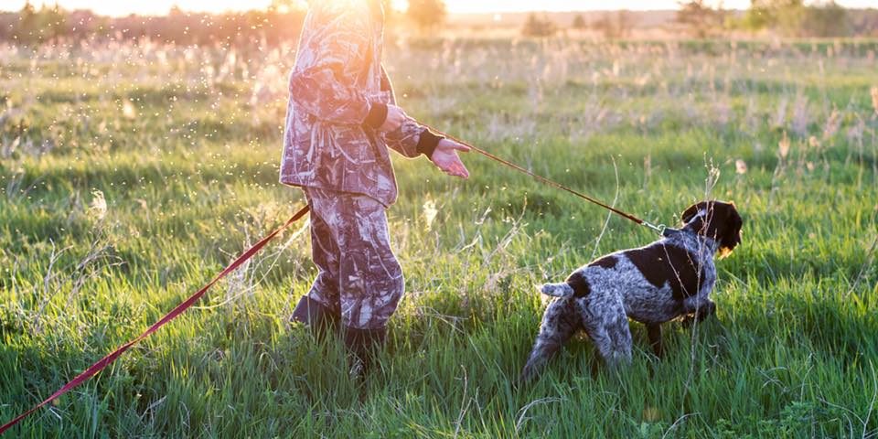 На Закарпатті єгеря перехопили браконьєрів