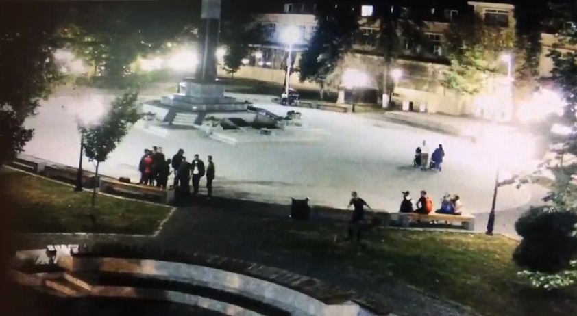 У Берегові розшукують вандала, який знищив деревце сакури (відео)