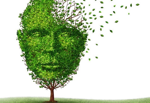 Всі в зелене: У неділю Закарпаття відзначатиме День лісу