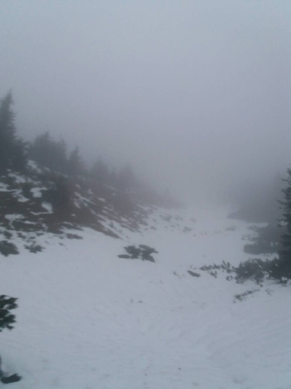 У горах на Рахівщині в негоді блукали туристи з Києва та Житомирщини (ФОТО)