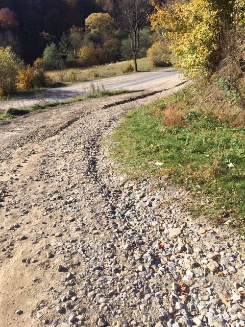 Москаль показав стан однієї з високогірних доріг на Воловеччині (ФОТО)