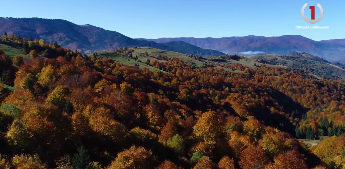 Закарпаття неймовірне: осінні барви Міжгірщини (відео)