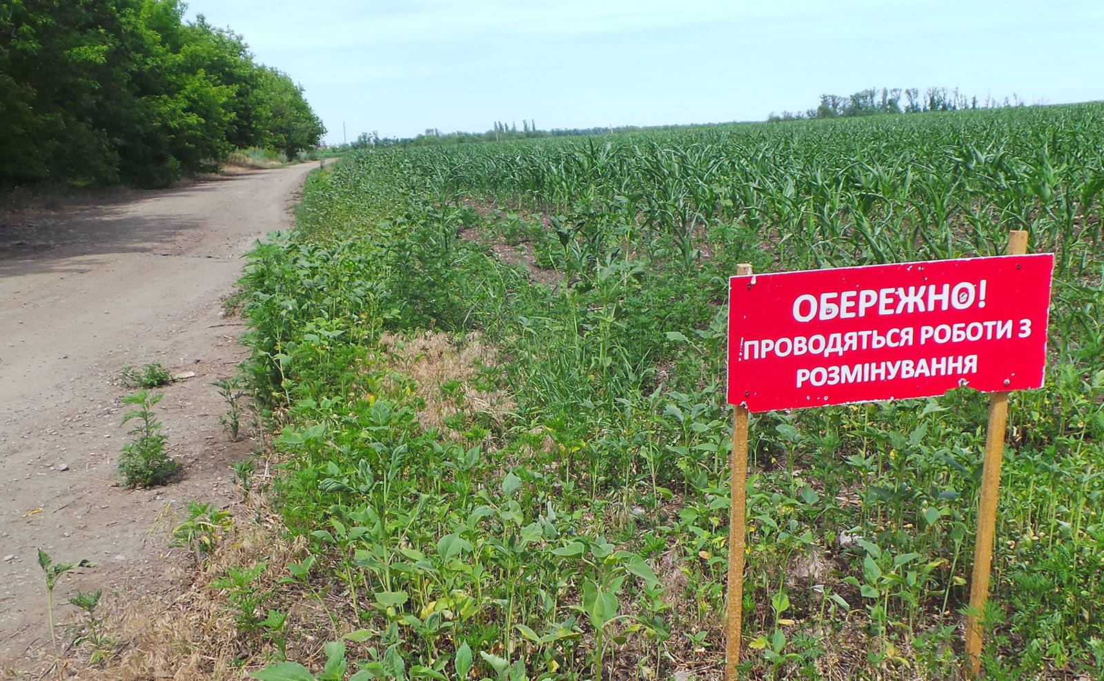 Неподалік Чопа на задамбовому просторі Тиси проводили розмінування