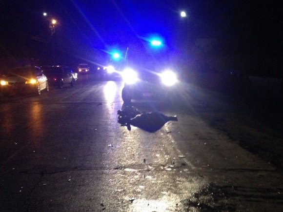 ДТП на Закарпатті: мікроавтобус перекинувся від удару, в ньому затисло людей