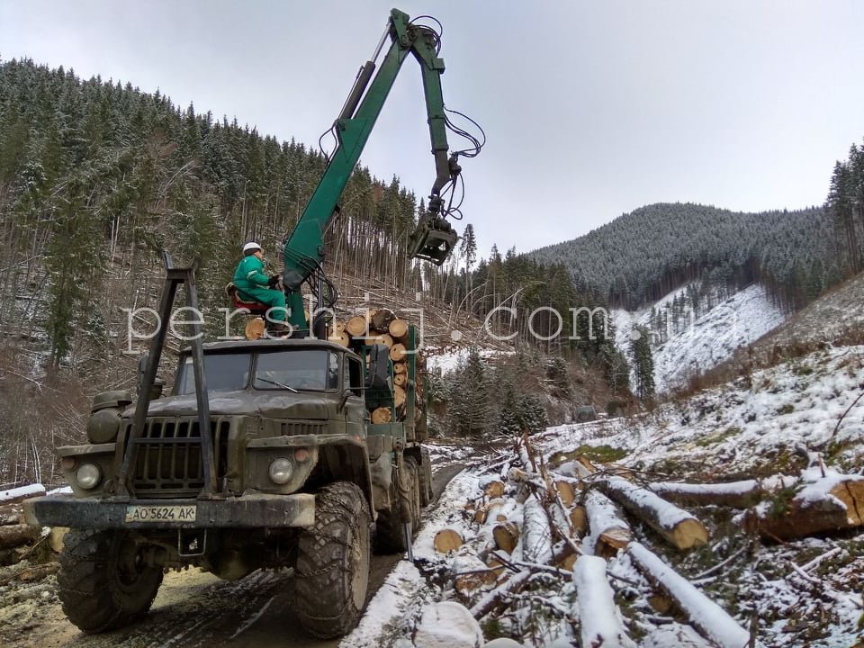 Боротьба з наслідками стихії: лісівники Рахівщини розчищають ліс від завалів