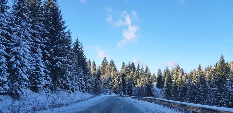 Неймовірна краса засніженого Синевирського перевалу (ФОТО)