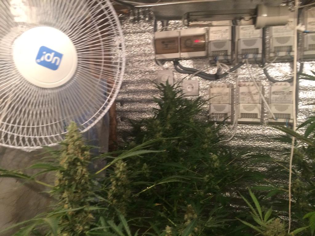 Справа на мільйон: одесит організував нарколабораторію на Рахівщині (ФОТО)