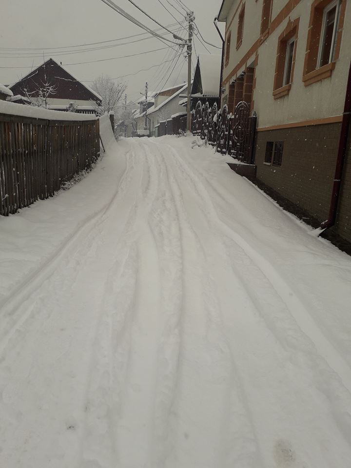 Закарпатці скаржаться на бездіяльність працівників комунальних служб (ФОТО)