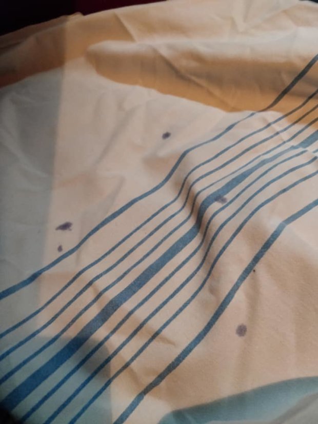 "Швидкий фірмовий" потяг від "Укрзалізниці" (ФОТО)