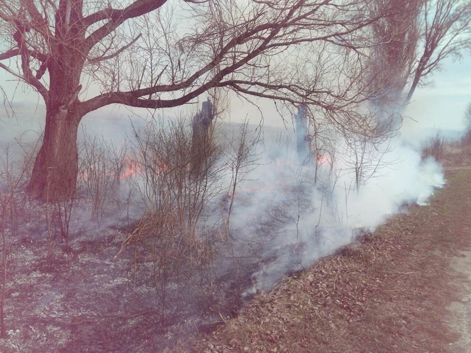 Полюбляєте палити суху траву, любіть і штраф сплачувати: на Хустщині на "гарячому" спіймали двох паліїв (ФОТО)