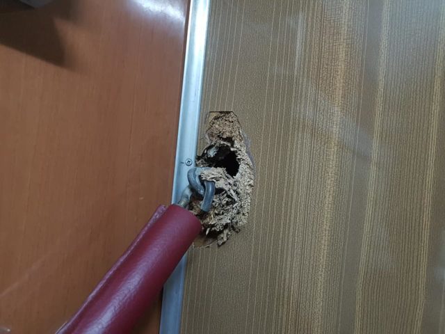 Відірвалась полиця: Укрзалізниця вляпалася в новий скандал (ФОТО)