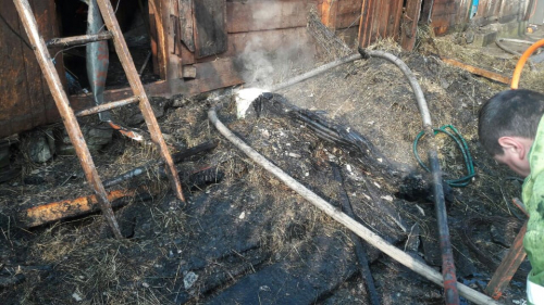 Надвірна споруда, сіно та свійські тварини: пожежа на Рахівщині завдала чималих збитків (ФОТО)