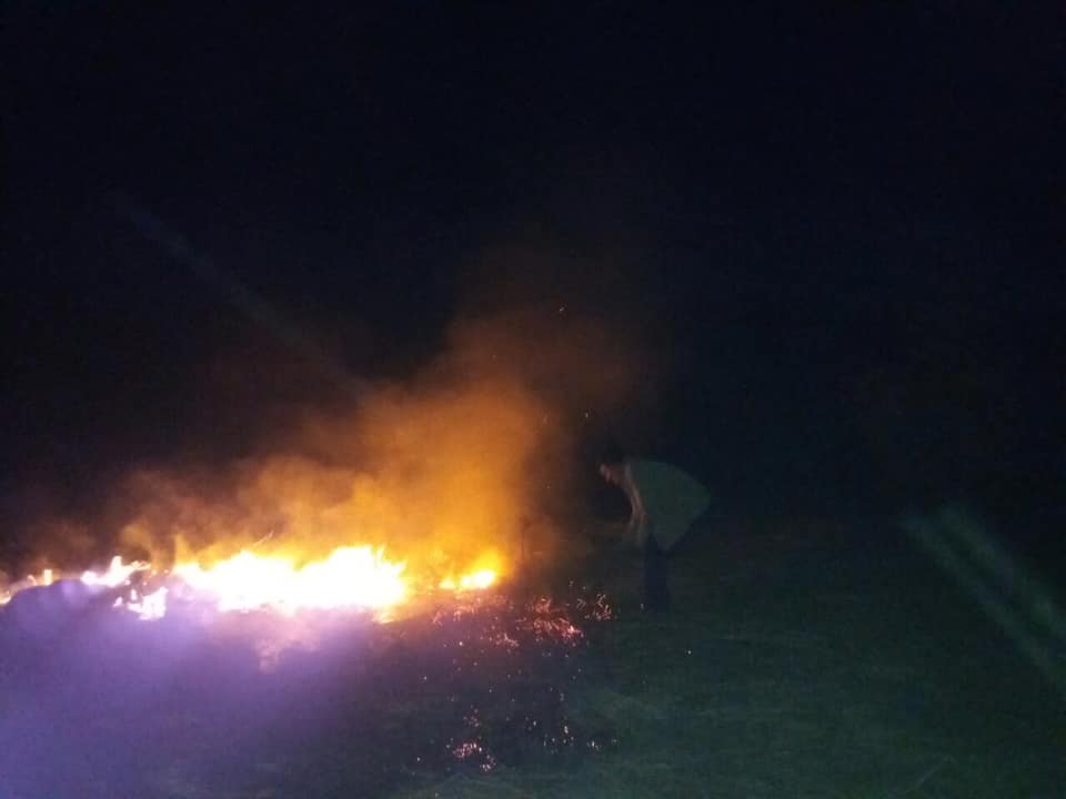 На Іршавщині горить ліс (ФОТО)