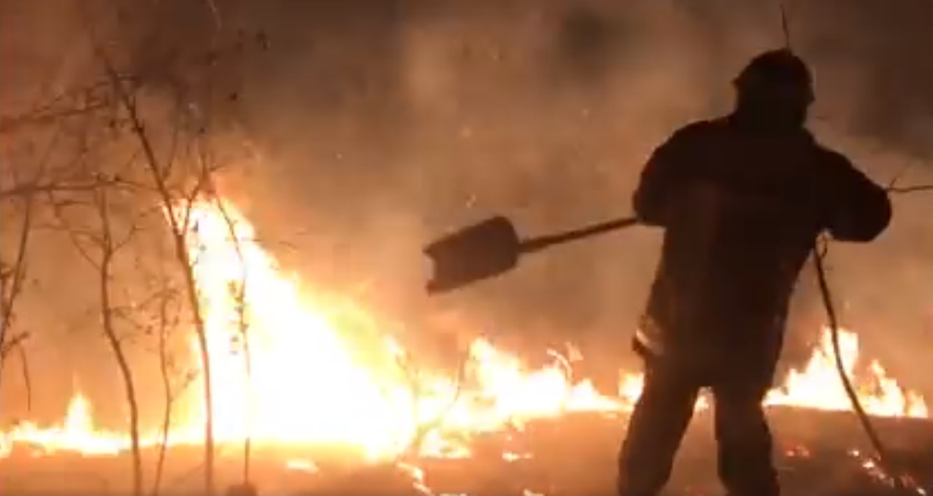 Мешканці Закарпаття ігнорують рятувальників, та продовжують підпалювати (ВІДЕО)