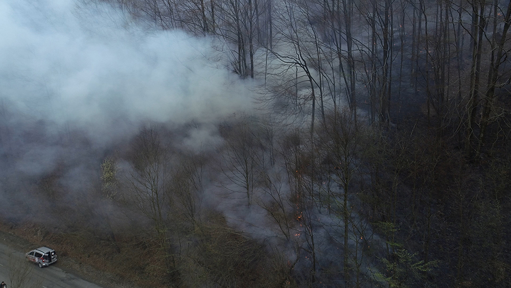 На Міжгірщині почастішали підпали сухого листя у лісах (ВІДЕО)