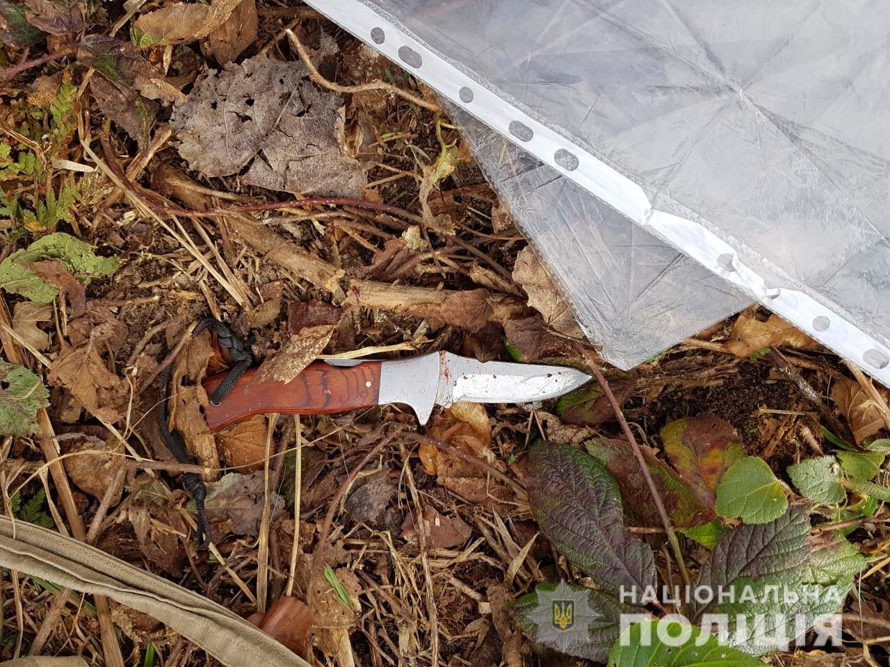 На Рахівщині в лісосмузі виявили розчленовану тушу козулі (ФОТО)