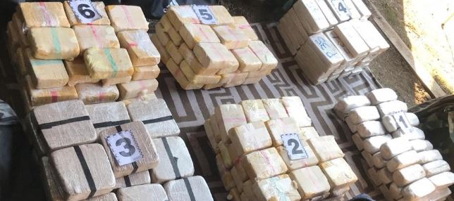 Закарпатець ховав удома понад 100 кілограмів героїну вартістю близько $10 мільйонів (ФОТО)