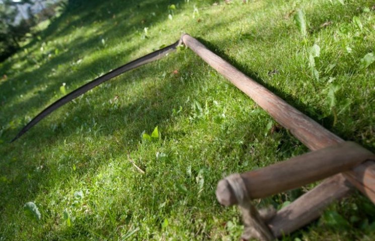 Останній сінокіс: на Рахівщині загинула людина