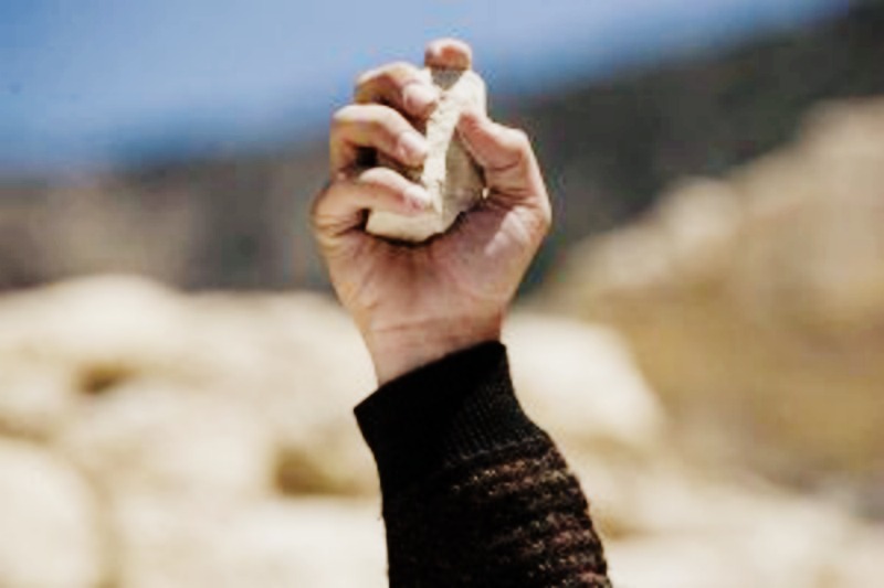 На Рахівщині поліцейських, при затриманні правопорушників, закидали камінням