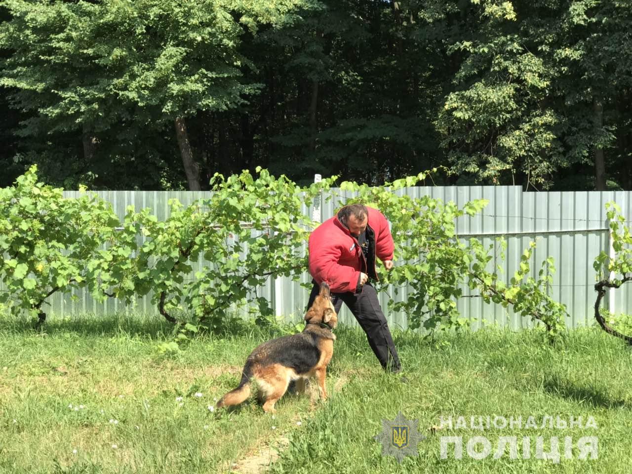 Закарпатським дітям влаштували екскурсію кінологічним центром