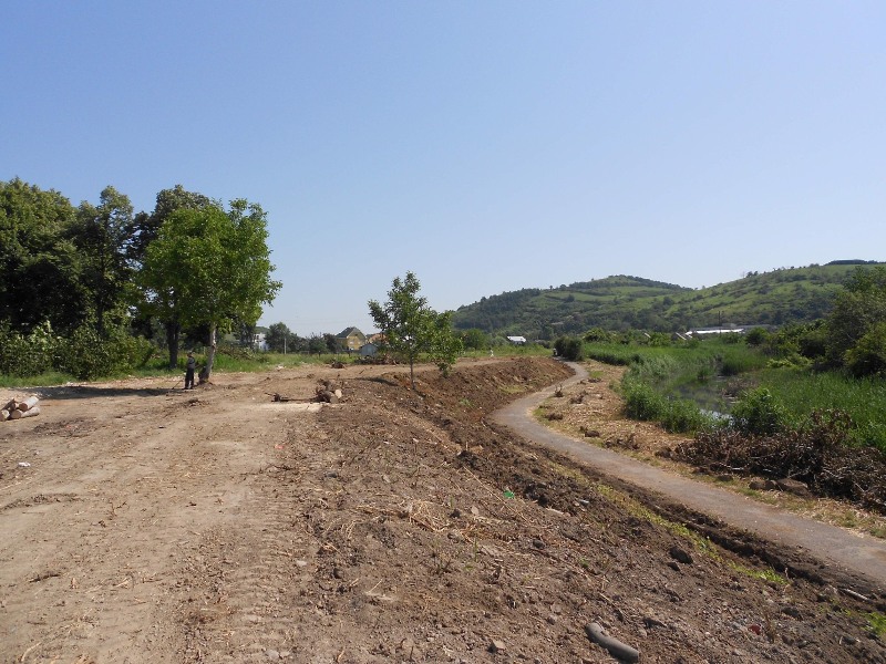 У Берегові вирубали парк біля спортбази (ФОТО)